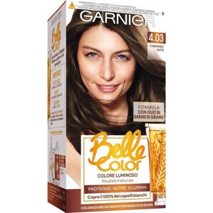 Garnier Belle 4.13 Popelavě hnědá se zlatým nádechem