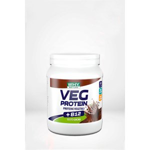 Whysport Veg Protein - veganský protein - 450 g Příchuť: Kakao