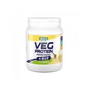 Whysport Veg Protein - veganský protein - 450 g Příchuť: Vanilka