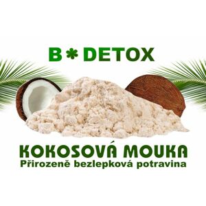 Bio-Detox Kokosová mouka 500g