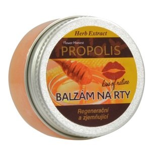 VIVACO Ochranný balzám na rty Propolis HERB EXTRACT